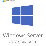 WINDOWS SERVER 2022 STANDARD ACTIVATION KEY