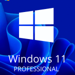 WINDOWS 11 PROFESSIONAL ACTIVATION KEY