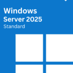 Windows Server 2025 Standard activation key