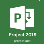 Microsoft Project 2019 Professional license