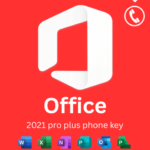 Microsoft Office 2021 Pro Plus license