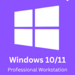 Microsoft Windows 10/11 Professional Workstation license