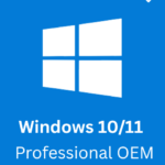Microsoft Windows 10/11 Pro OEM license
