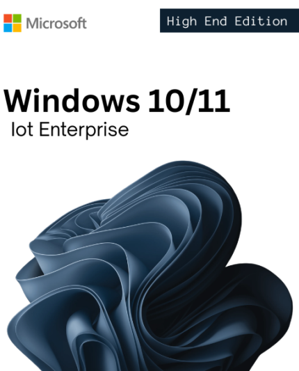 Microsoft Windows 10/11 IoT Enterprise license