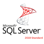 Microsoft SQL Server 2019 Standard 1 user
