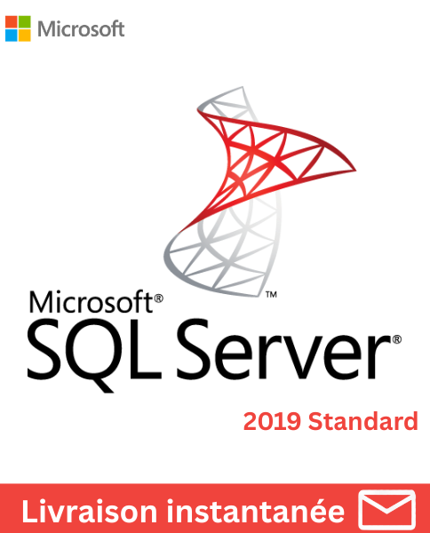 Microsoft SQL Server 2019 Standard 1 user